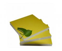 Build Smarter with Recycled Plastic Shuttering Sheets
